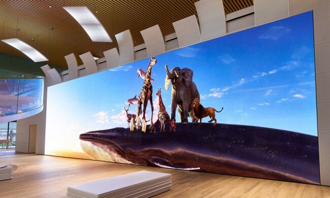 Sony Crystal LED