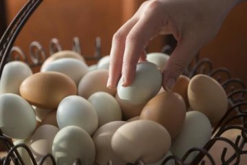 Геть хвороби і зайву вагу: ці продукти подарують вам здоров’я та стрункість