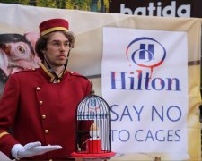 Українці приєдналися до всесвітньої акції проти Hilton: "Це жорстоко і навіть нелюдяно"