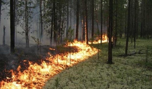Масштабный пожар тушат в зоне АТО