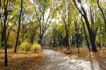 Львів'яни, прощайтеся з літом: синоптики засмутили прогнозом на 17 вересня
