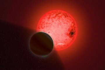 TOI-5205 b