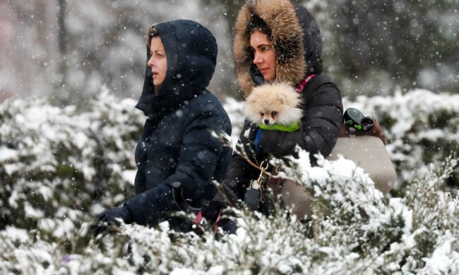 снегопад фото: reuters