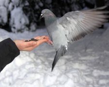 Благовещение Пресвятой Богородицы 25 марта: что категорически запрещено делать