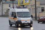 Львів'ян атакують отруйні тварюки, кількість жертв перевалила за сотню: медики божеволіють