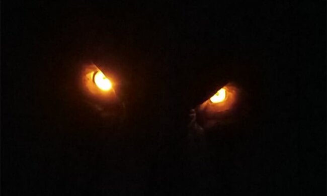 Baldur's Gate 3