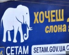 Банковская мафия победила систему электронных торгов