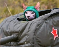 Замість маршруток росіяни їздять на роботу у БТР: фото