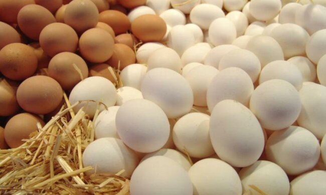 Польза яиц для детей: что нужно знать