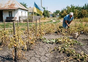 посуха город суха земля врожай