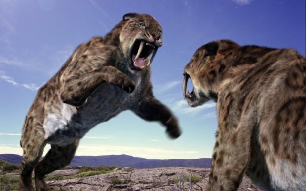 Ученые нашли отличия тактики охоты доисторических хищников