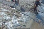 Мертві тіла на березі поставили на вуха курорт під Запоріжжям - слизькі, загинули в морі