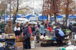 стихийная торговля, скриншот из видео