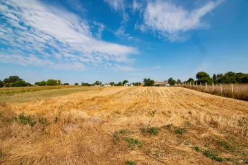 Купівля землі через Prozorro.Продажі