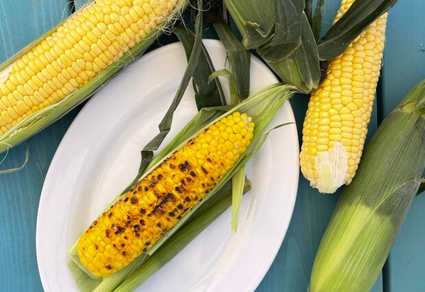 Как нужно есть молодую кукурузу: правильно этого не делал почти никто