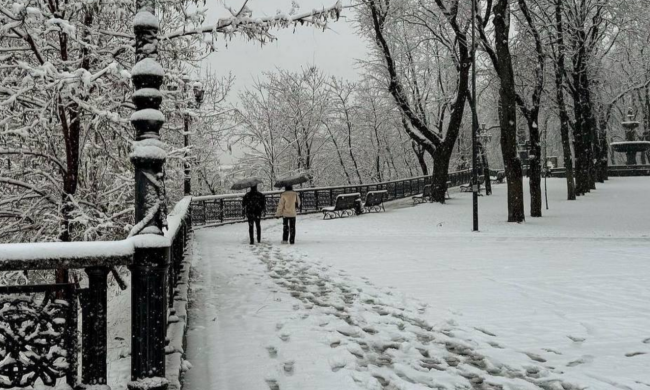 Зима, украинцы, снег, фото из соцсетей