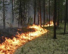 Масштабну пожежу гасять в зоні АТО