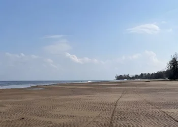 Обмеление реки в Украине из-за засухи