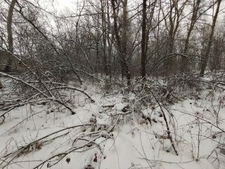 Зима, мороз - фото Знай.ua