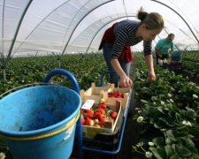 Важка праця і бідування: якими жертвами за рік в Польщі заробляють на будинок 