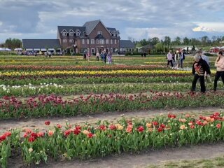 Добропарк, фото: скріншот з відео