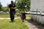 Підняли на вуха весь Київ: у мільйонному місті знайшли безвісти зниклу дитину, шанси були мізерні