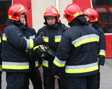 Голова застрягла у огорожі: на Львівщині врятували необачного пса