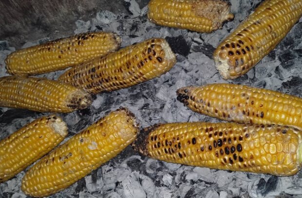 Зірка "МастерШеф" показав, як готує смачну смажену кукурудзу в диких умовах