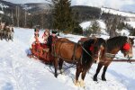 Прикарпатці зіграли традиційне гуцульське весілля: zaxid.net