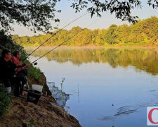 Містичний день 22 серпня: народні повір'я про лісовика