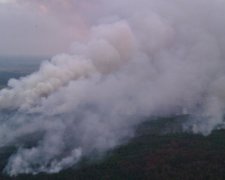 У чорнобильській зоні гасять пожежу площею у 130 гектарів