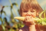 ООН наполохана через загрозу зникнення кукурудзи
