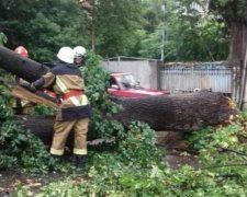 Ужгород знову потерпів від негоди