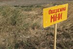 На Донбасі 45-річна жінка підірвалася на міні