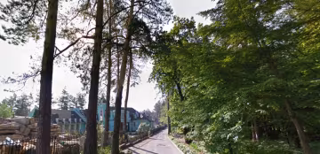 У лісі під Києвом виявили дивну знахідку