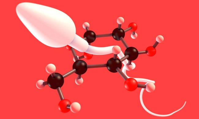 Дослідники розкрили призначення таємничого гена: відкриття допоможе вилікувати чоловіче безпліддя