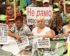 Назад в лихие 90-е: чем грозит земельная реформа