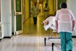 Ядовитые змеи терроризируют Львовщину, десятки пострадавших: медики сделали экстренное заявление
