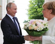 Все попало в молоко: глашатай Путина рассказал, зачем хозяин встретился с Меркель