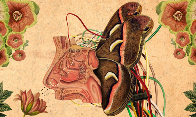 "Електронний ніс" нагадає людям про своєчасну гігієну