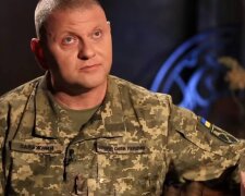 Валерій Залужний, фото: скріншот з відео