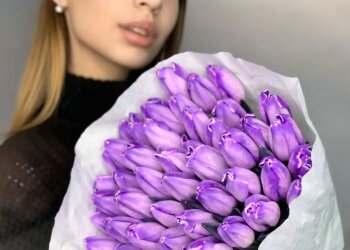 Тюльпаны, фото из свободных источников