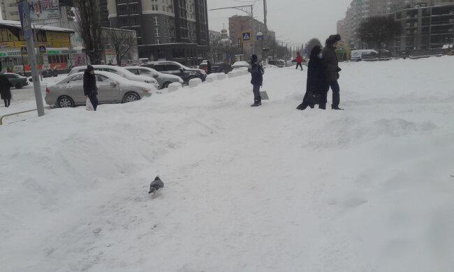 Зима, мороз - фото Знай.ua