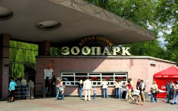 Подорожал вход в киевский зоопарк