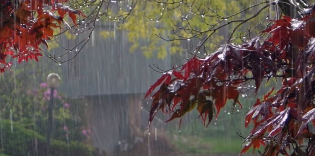 Дождь, скриншот youtube Звуки природы Павел Relaxik
