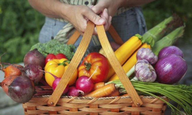 ГМО или нет: как правильно выбрать продукты