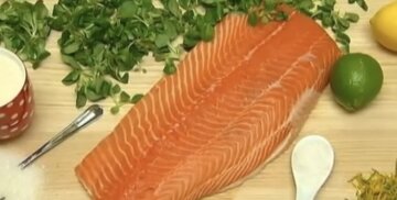 Лосось: фото скрін Ютуб