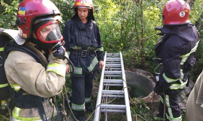 На Киевщине безпомощная кроха пережила второе рождение: трогательные кадры спасения