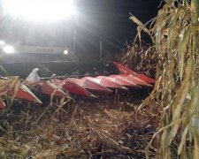 Несподівана "зустріч" у кукурудзі позбавила чоловіка ніг