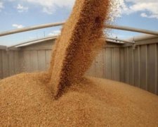 Українські аграрії зароблятимуть на поставках до Ірану